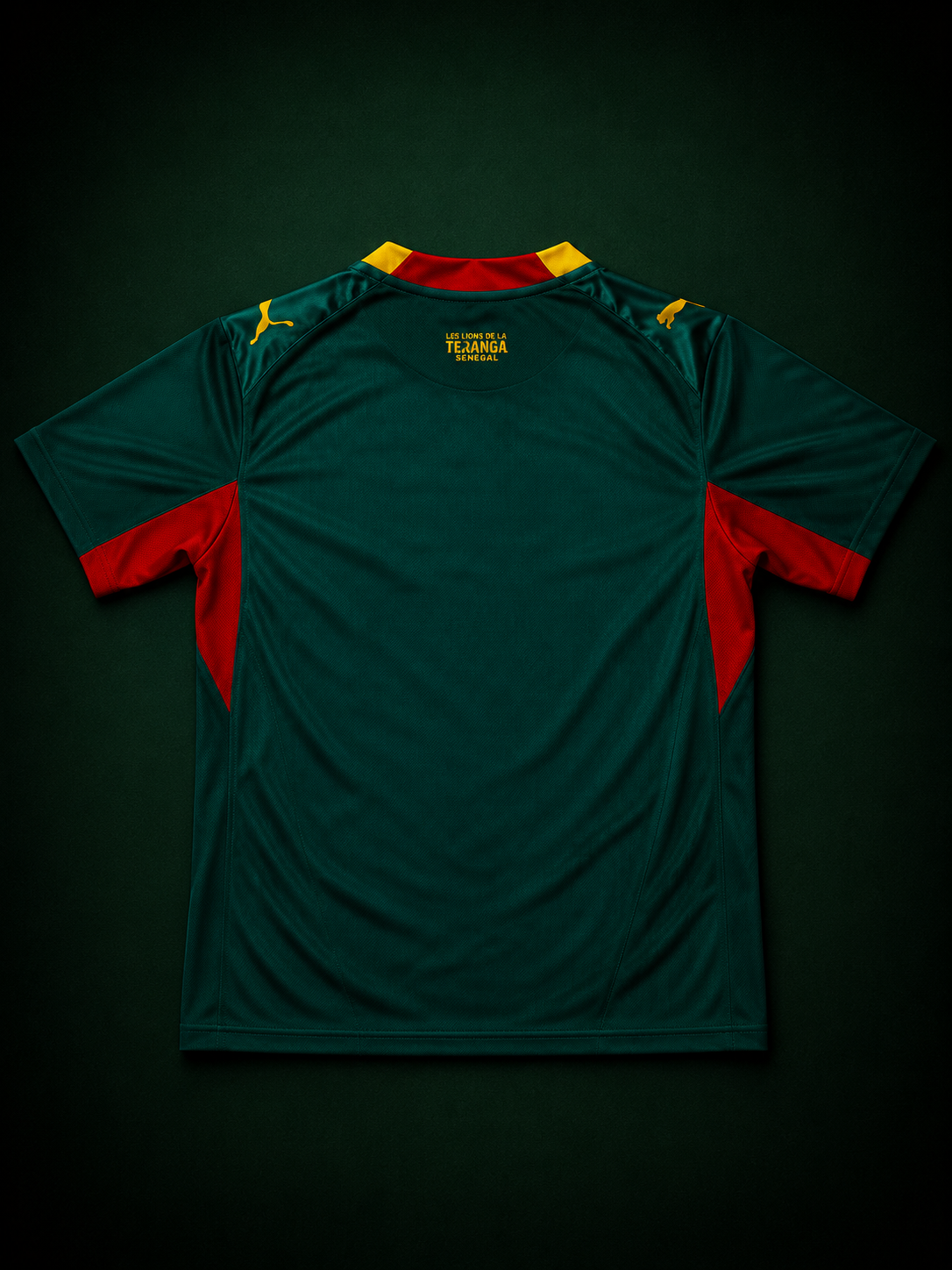 Maillot Sénégal 🇸🇳