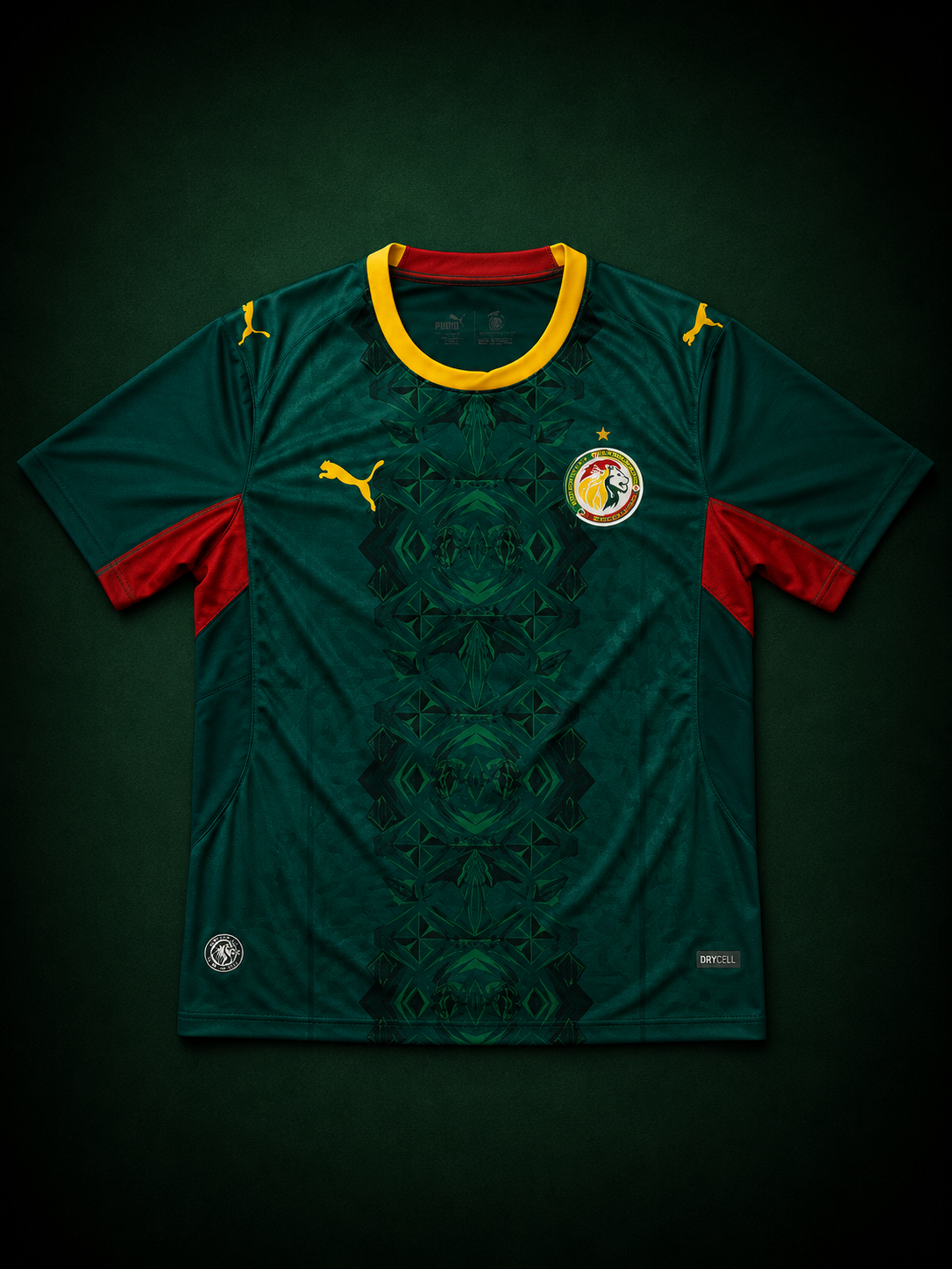 Maillot Sénégal 🇸🇳