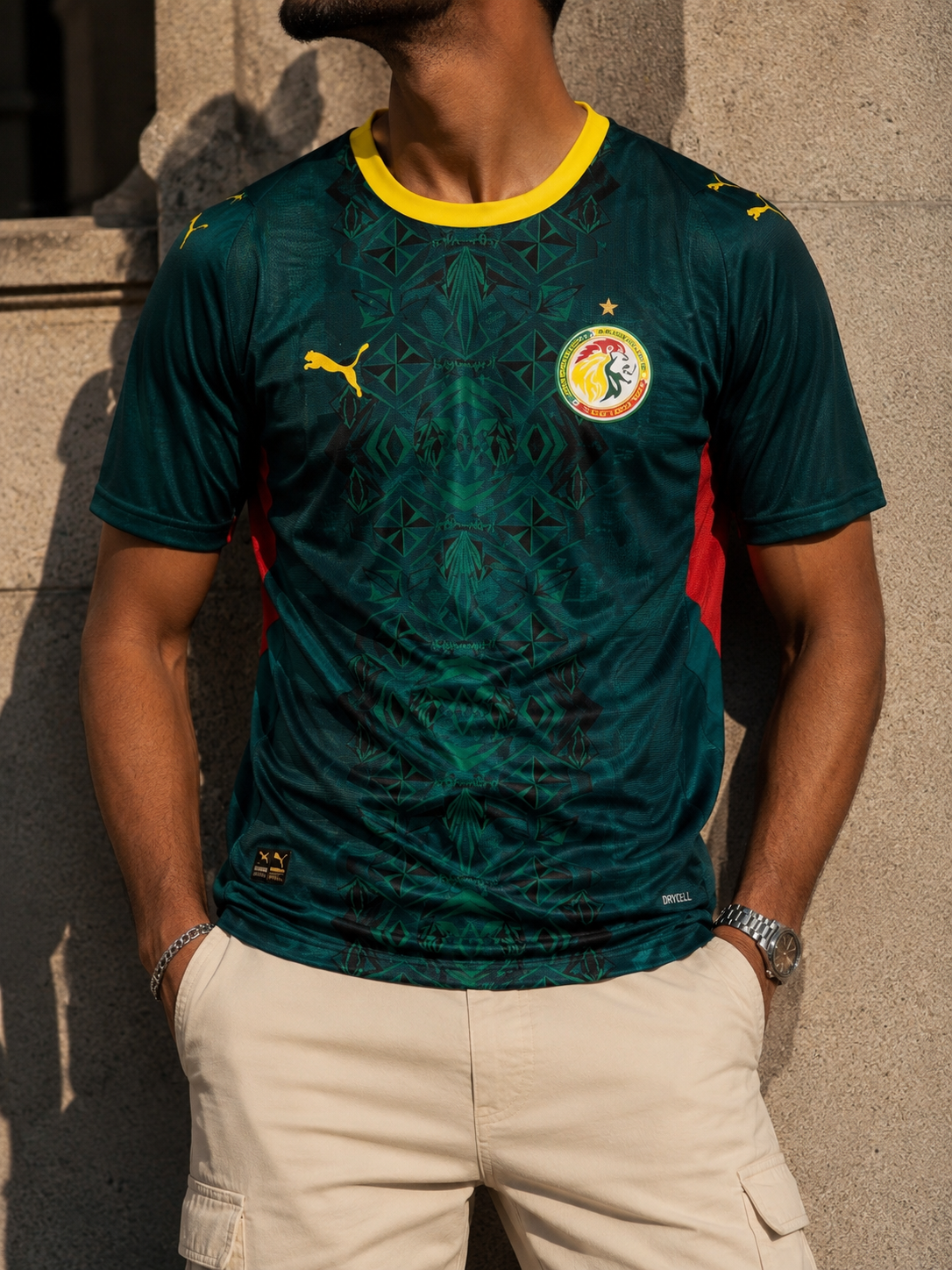 Maillot Sénégal 🇸🇳